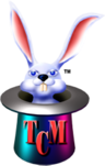 The Computer Magician LLC